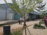 Đất Bán Thổ Cư 55m2 Giá 950tr ( 65% ) Sỗ Hồng Riêng Tại Bình Tân
