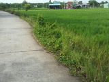 3,2tr/M2,1350m2 Đất Bình Chánh Đường Liên Ấp 4-5, Đa Phước