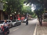 Mặt Phố Nguyễn Thị Định, Kinh Doanh Siêu Lợi Nhuận, 52m, 6 Tầng, Mt 4m, Vỉa Hè 5m .