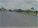 Bán Gấp Lô Liền Kề Đường Liên Phường, Phường Phú Hữu Q. 9. SHR,750TR/100m2, SHR, XDTD