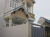 Bán Nhà Riêng Đường Phan Văn Hớn, Phường Bà Điểm, Hóc Môn, Hồ Chí Minh Diện Tích 100m2 Giá 1,05ti