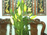 Bán Nhà Cho Con Du Học