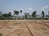 Bán Đất Chợ Việt Kiều, Củ Chi, 350Tr, 100m2, Sổ Hồng Riêng,0932.7979.46