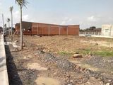 Đất Thổ Cư 100m2, Sổ Riêng Chính Chủ, Cách Chợ Bình Chánh 4km