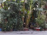 Bán Đất MT Đường Số 2 Khu Tên Lửa,P. Trị Đông B, Q.Bình Tân, 2.5 Tỷ, 4x16m