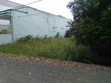 Thiếu Nợ Bán Gấp 940m2 Đất Bình Chánh, Cách Đoàn Nguyễn Tuấn 500m, Shr. Lh 0903660560