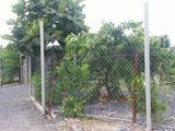 Trả Nợ Bán Gấp 1058 m2 Đất Bình Chánh, Đường Nhựa, Shr. Giá 2.12 Tỷ. LH 0903660560.
