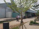 Bán Đất Rẻ Đẹp Hẻm Lớn Có Sồ Hồng Riêng Tại Q. Bình Tân