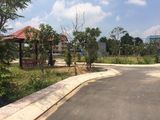 Chủ Đất Kẹt Tiền Cần Bán Gấp Lô Đất Có Sổ Hồng Ở Ngã 3 Long Phước