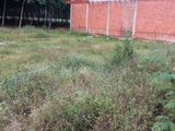 Đất Ngay Chợ Bến Đồn Hòa Lợi Bến Cát Dt 135 Thổ Cư 60
