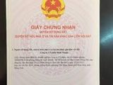 Bán Gấp Đất Nền Tại Long Thành Ngay Ql 51 Giá 350Tr/nền