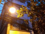 Bán Gấp Nhà Nguyễn Trãi, Thanh Xuân: 40m2, 5 Tầng Mới, Giá 3.3 Tỷ.