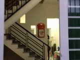 Bán Nhà 1 T 1 L , 85m2, Đ Bưng Ông Thoàn Phú Hữu,Q9
