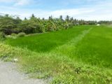 Bán Đất Vườn Diện Tích Lớn, Chính Chủ, Shr, 8 Tỷ (8300M2)_Lh: 0126.633.7347