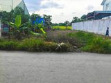 Bán Nhà Mặt Tiền Đường Liên Ấp 3-4, Hưng Long, Diện Tích 1000 M, Trong Đó Có 280 M Đất Ở