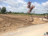 Cần Bán Đất Nền Nhà Ở, Đầu Tư Phát Triển An Cư Lập Nghiệp.