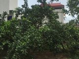 Bán Đất Tổ 1-Yên Nghĩa-Hà Đông- 57m2- Ngõ Rộng 3m-19tr/M2