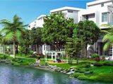 Mở Bán Đợt 1 Khu Dân Cư Bàu Sen – Trung Tâm Thị Xã Đức Phổ Tương Lai.