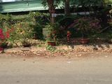 Bán Nền + Nhà + Phòng Trọ