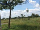 Ngân Hàng Thanh Lý 2 Lô Đất Ngay Quốc Lộ 22-Tân Thới Nhì-Hóc Môn