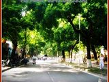Đất Chợ Đại Phước - Khu An Ninh Đường Lớn, Ngay Chân Cầu Cát Lái Đang Xây Dựng