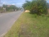 Đất Xây Xưởng Mặt Tiền Nhựa. Dt: 30x70m. Giá 4 Tỷ 5. Sổ riêng.