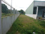 330m2 Đất Ở, MT HL11 (Đoàn Nguyên Tuấn), Hưng Long, Bình Chánh