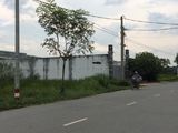 Đất Mặt Tiền 3000m2 Cần Bán Gấp, Đường Hương Lộ 11, Xã Quy Đức, Huyện Bình Chánh.