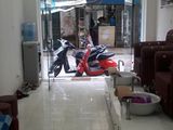 Chính Chủ Cho Thuê Phòng Có Thang Máy 255 Đường Hồ Tùng Mậu Ko Chung Chủ-Đối Diện Siêu Thị Thành Đô