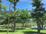 Sun River City- Đất Biển Tựa Sông Cổ Cò, Vị Trí Đẹp, Giá Rẻ Đến Bất Ngờ