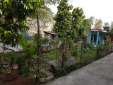 Bán Đất Hẽm Đường Nguyễn Trãi . Diện Tích: 100m2 - Giá: 500 Triệu (Liên Hệ: 0943861232 Or 012680546