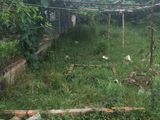 Đất Thổ Cư 4x15 Xã Đại Phước-Mt Đường Bê Tông 3m- Đường Lý Thái Tổ