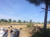 Đất Có Sổ Đỏ Làng Thanh Quýt, Xã Điện Thắng Trung, Điện Bàn, Quảng Nam
