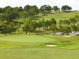 Bán Nhà Mặt Tiền Trung Tâm Nguyễn Công Trứ - P.2 - Đà Lạt, 133m2, Giá 7.2 Tỷ