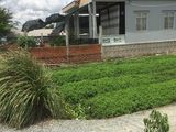 Bán Nhà Vườn Bình Chánh Dt 860m2 Giá Bèo 2.8 Tr/M2