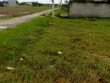 Bán Đất Thổ Cư, Dt: 5x40m, Giá 330 Triệu