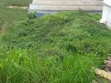 Xây Nhà Trọ Kinh Doanh Ổn Định Với Đất Mặt Tiền P8 Đà Lạt – Bất Động Sản Liên Minh