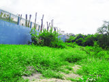 Tôi Đang Cần Tiền Nên Bán 700m2 Đất, Gần Trung Tâm Giải Trí Thành Long Bình Chánh