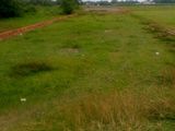 Chính Chủ Cần Bán Đất Thổ, Sổ Riêng. DT: 5x40m. Giá 330tr