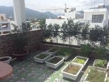 Bán Nhà Đường A2 Khu Đô Thị VCN Phước Hải, Nha Trang, Khánh Hòa - 0934322293