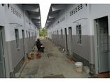 Đi Nước Ngoài,Bán Gấp Dãy Nhà Trọ,P Linh Chiểu,Q Thủ Đức