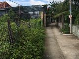 Sang Gấp 1286m2, Giá: 1,2 Tỷ Đường Nhánh Quy Đức, Huyện Bình Chánh.