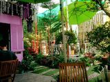 Cho Thuê Nhà Mặt Tiền Nguyễn Văn Cừ Nd , Mô Hình Cà Phê Sân Vườn , Dt: 390m2 , Giá 18 Triệu