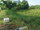 Chính Chủ Bán Gấp 2400m2, Hóc Hưu, Qui Đức – Bình Chánh