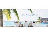Mở Bán Căn Hộ Nghỉ Dưỡng Aloha Codotel Bình Thuận, Mô Hình Kinh Doanh Do Donald Trump Sáng Lập.