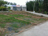 Bán Đất 74 M2, 550 Triệu. Lê Văn Lương, Nhà Bè, Tp Hcm