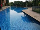 Siêu Sock Lần Đầu Tiên Xuất Hiện: Một Giá Duy Nhất Căn Hộ Số 06 Mulberry Lane