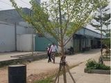 Chỉ Với 999Tr Bạn Đã Sỡ Hữu Ngay 1 Nền Đất Shr 55M2 Tại Quận Bình Tân