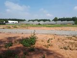 Cần Bán Nền Đất Đường Cây Dương 5X17 Shr 350 Triệu Đức Hòa Long An
