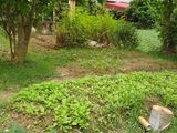 Chính Chủ Bán Đất Tổ 4 Thượng Thanh, Long Biên, Dt 97M, Giá 20Tr/m. Lh Thu 0934549288